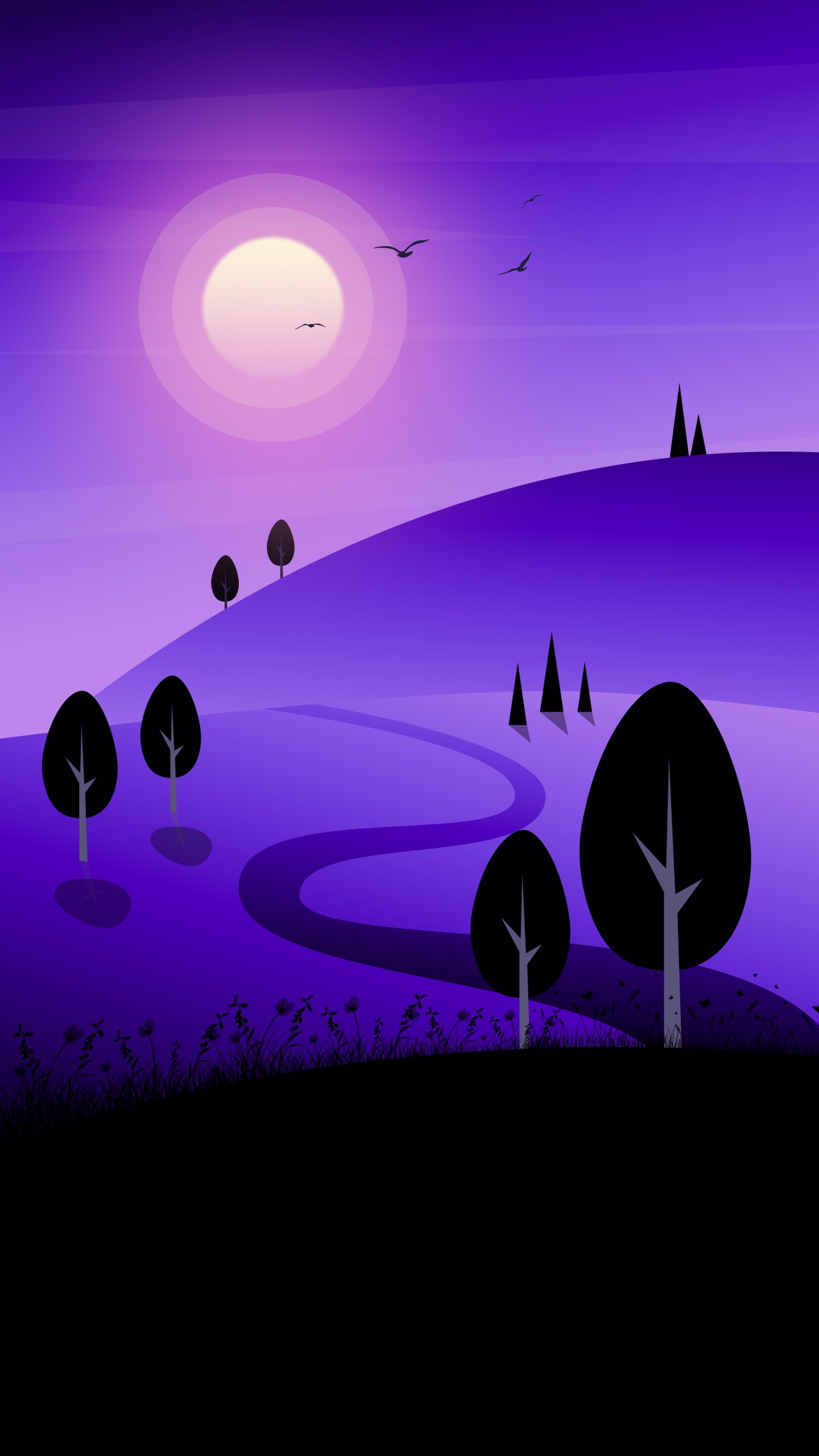 Morado, Naturaleza, Rueda, Arte, Violeta. Wallpaper in 1440x2560 Resolution