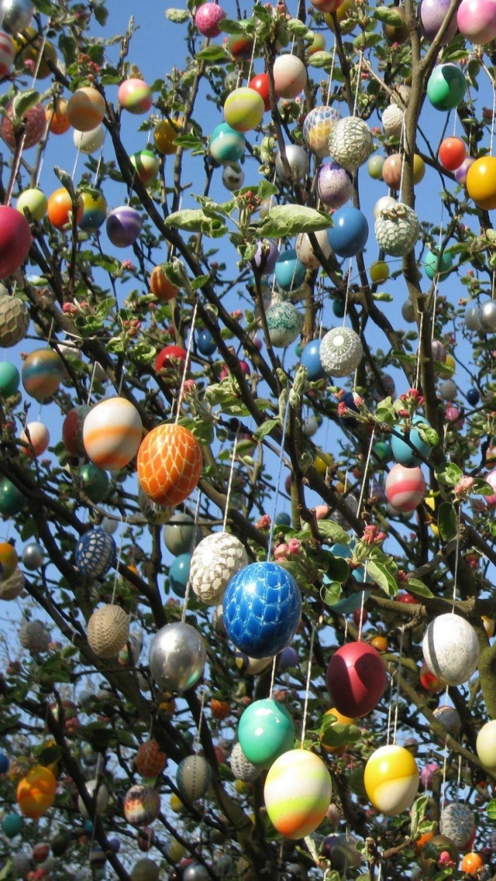 Easter Egg, Branch. Wallpaper in 720x1280 Resolution