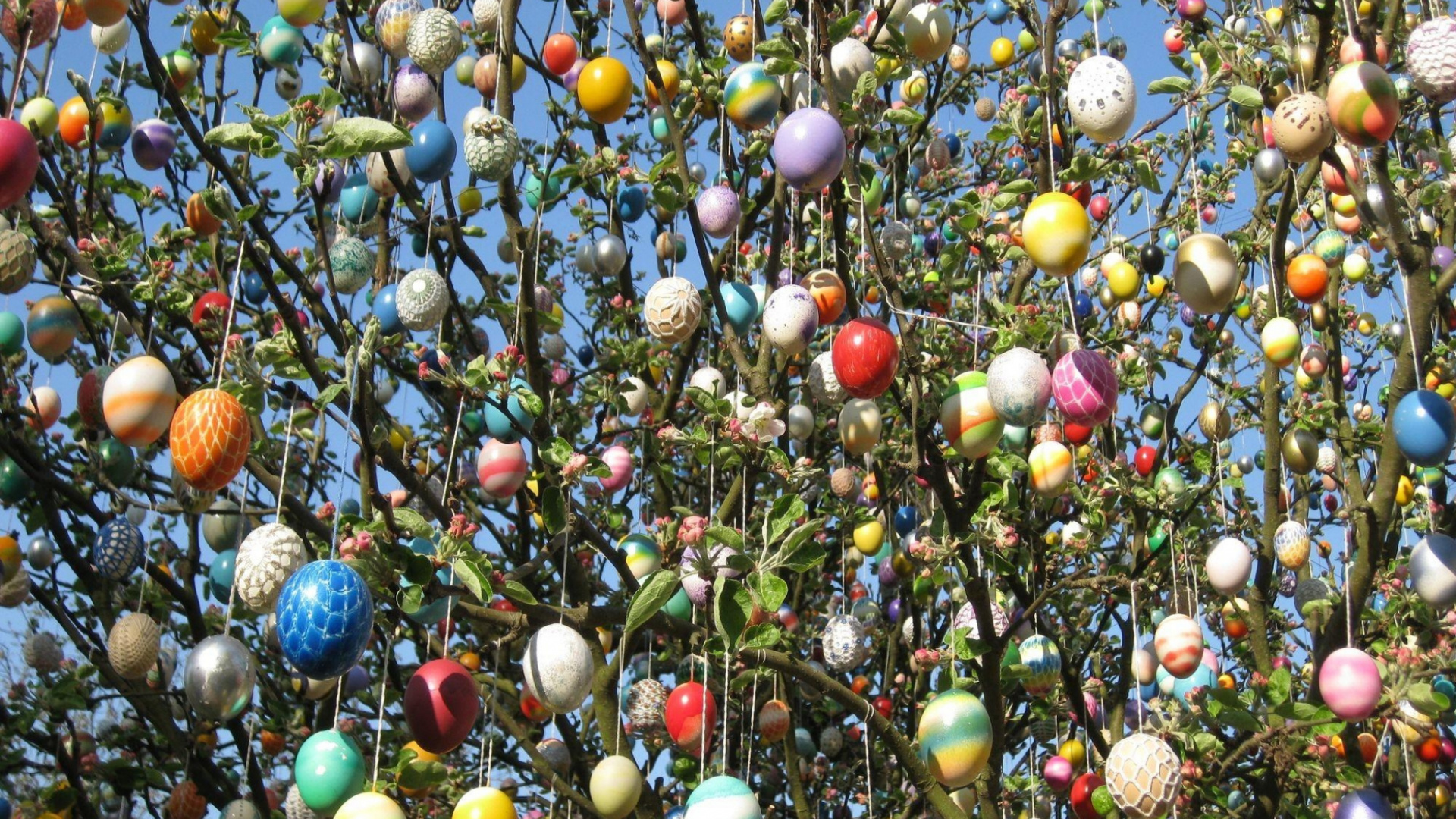 Oeuf de Pâques. Wallpaper in 1920x1080 Resolution