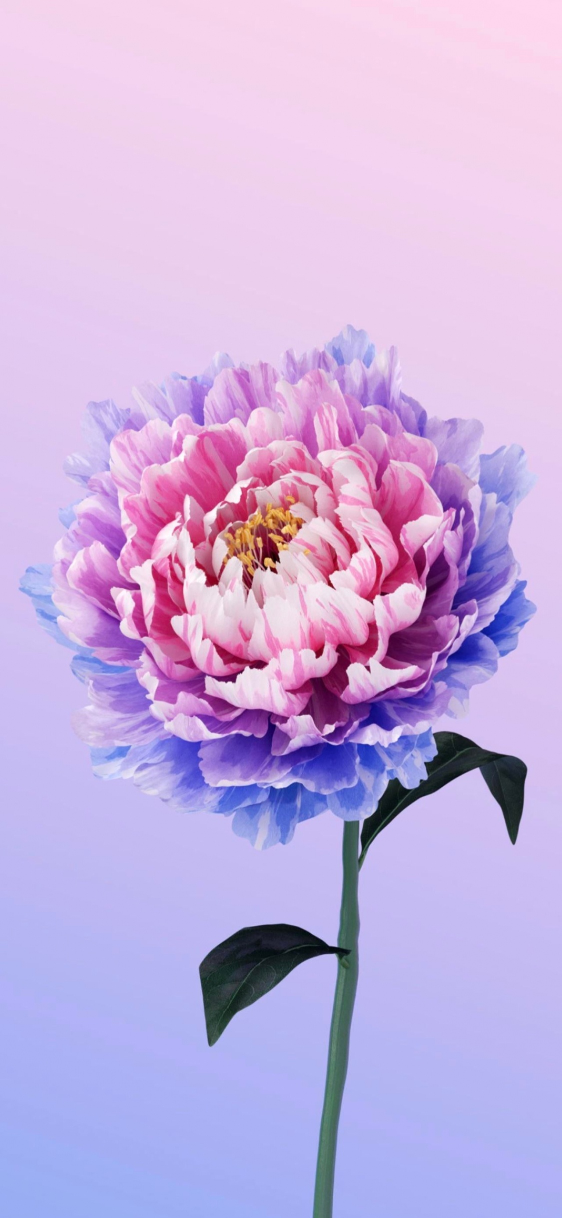 Flower, Alive, Vivo, Peony, Operating System. Wallpaper in 1125x2436 Resolution