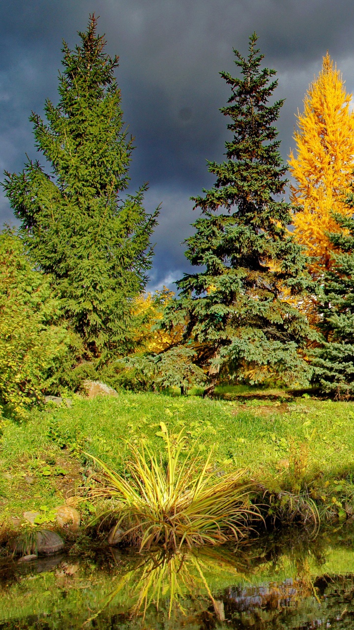 Grüne Wiese in Der Nähe Von Weißem Betongebäude Unter Blauem Himmel Tagsüber Sky. Wallpaper in 720x1280 Resolution