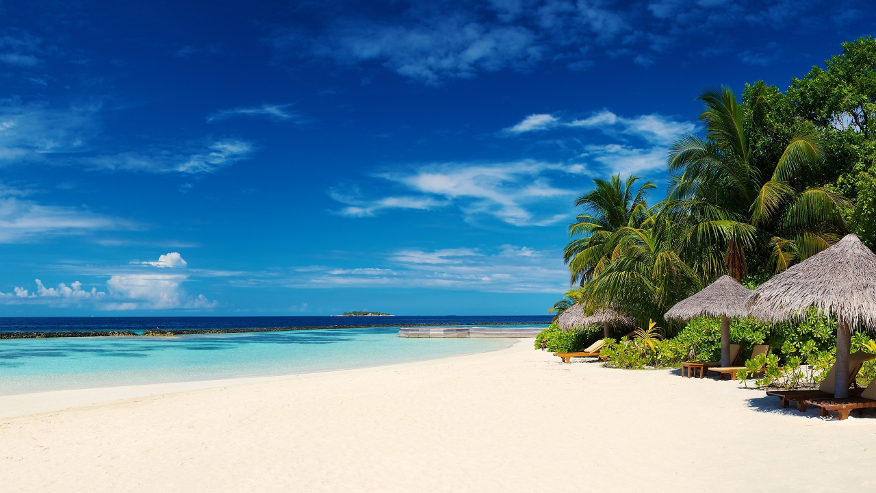 Green Palm Tree on White Sand Beach During Daytime. Wallpaper in 1280x720 Resolution