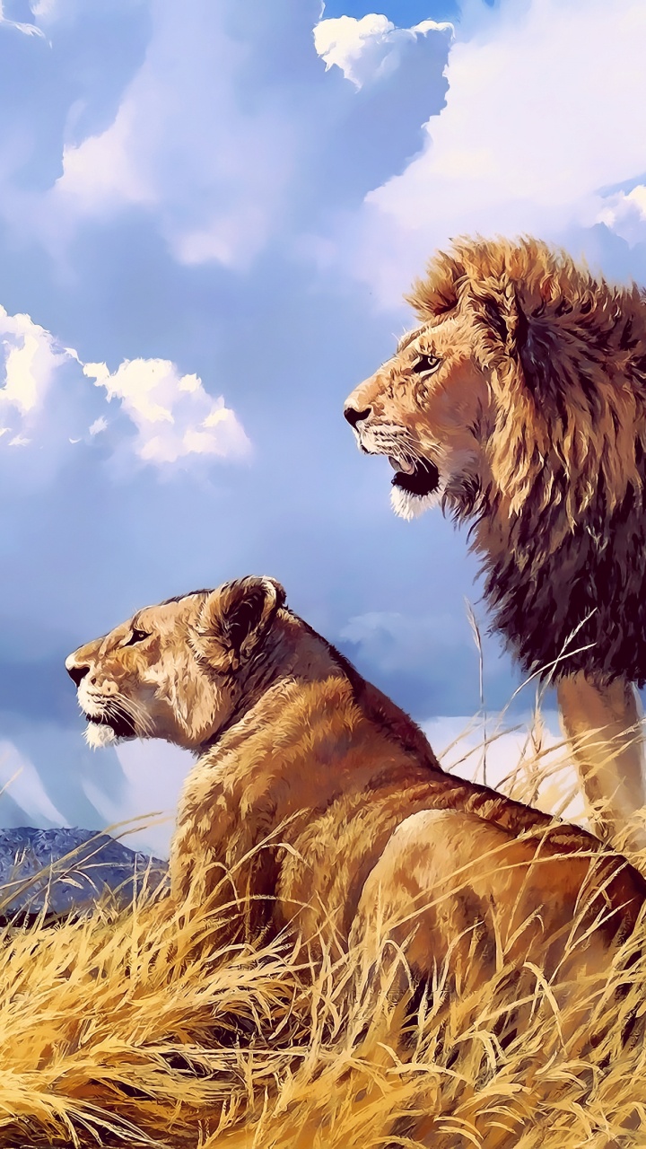 狮子, 老虎, 马赛马的狮子, 野生动物, 猫科 壁纸 720x1280 允许