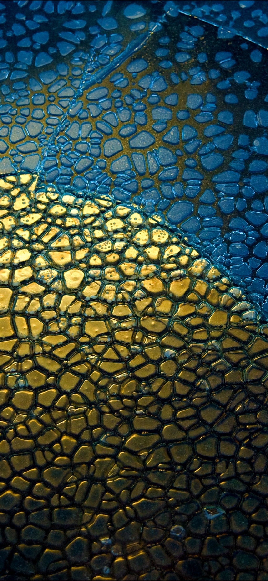 Google Pixel, Google Pixel 2 XL, Google Pixel Xl, Google Pixel 4 Xl, Google. Wallpaper in 1125x2436 Resolution