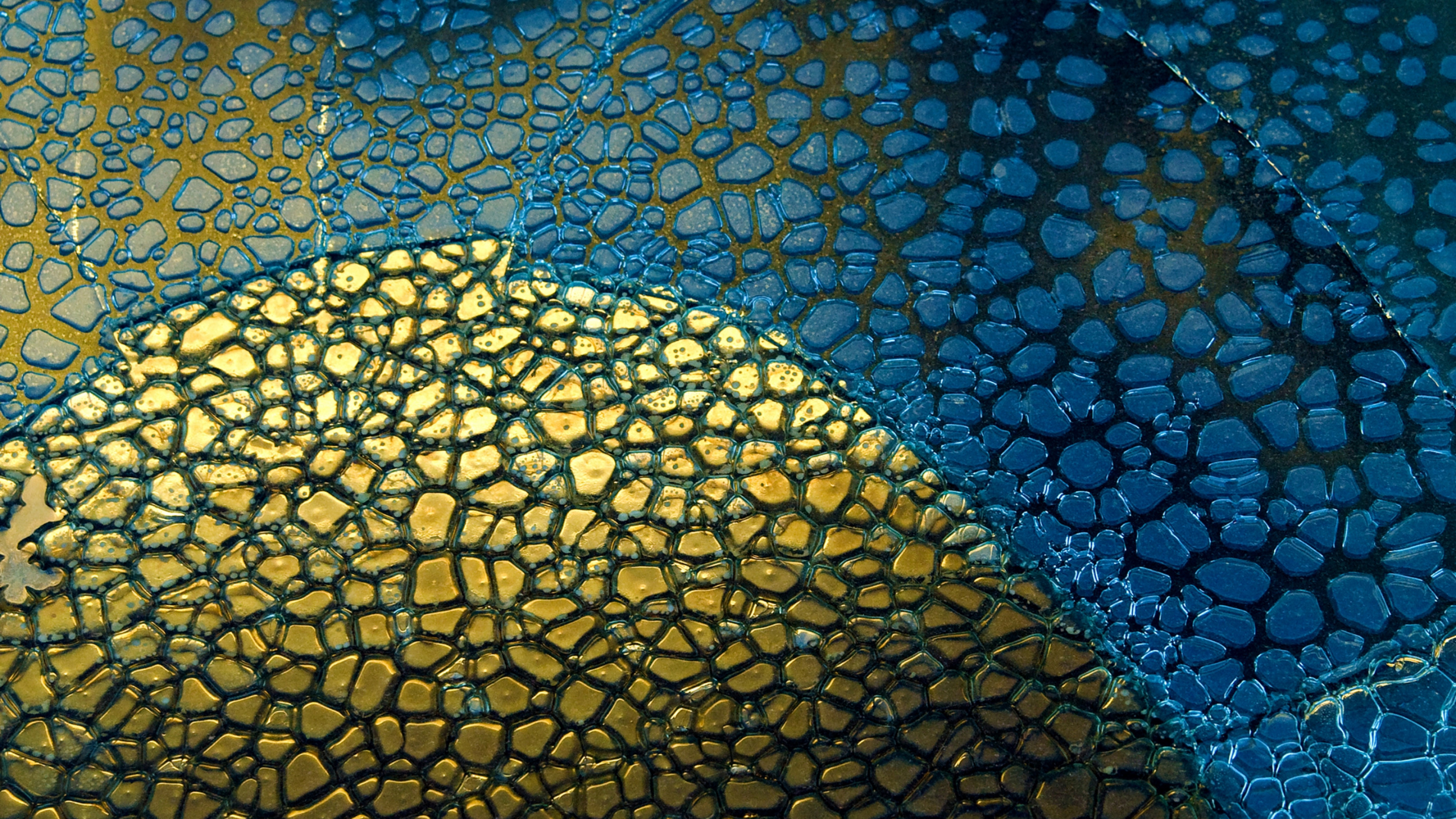 Google Pixel, Google Pixel 2 XL, Google Pixel Xl, Google Pixel 4 Xl, Google. Wallpaper in 2560x1440 Resolution