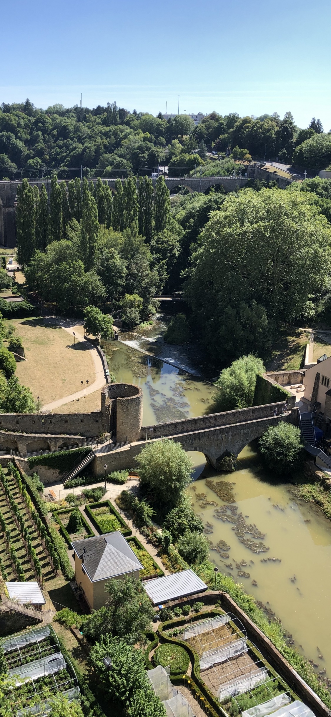 Grund, Birds Eye View, Biologie, Wissenschaft, Vegetation. Wallpaper in 1125x2436 Resolution