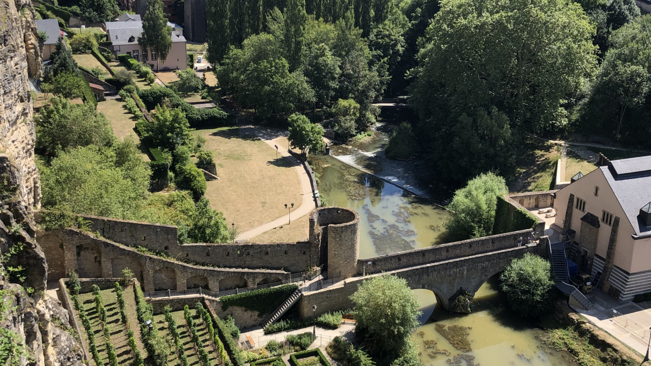 Grund, Birds Eye View, Biologie, Wissenschaft, Vegetation. Wallpaper in 1280x720 Resolution