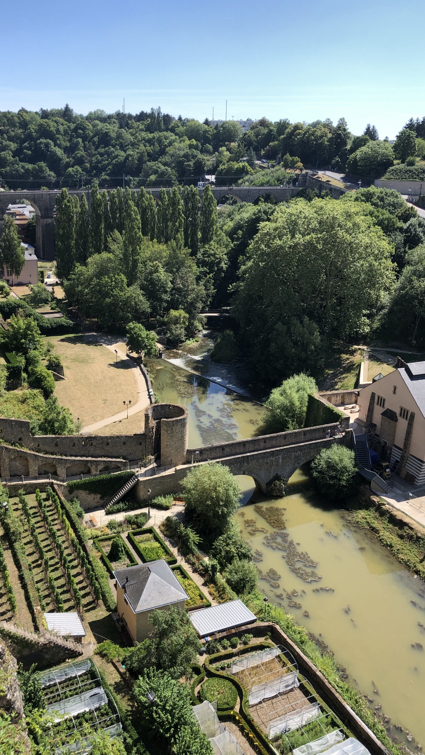 Grund, Birds Eye View, Biologie, Wissenschaft, Vegetation. Wallpaper in 1440x2560 Resolution