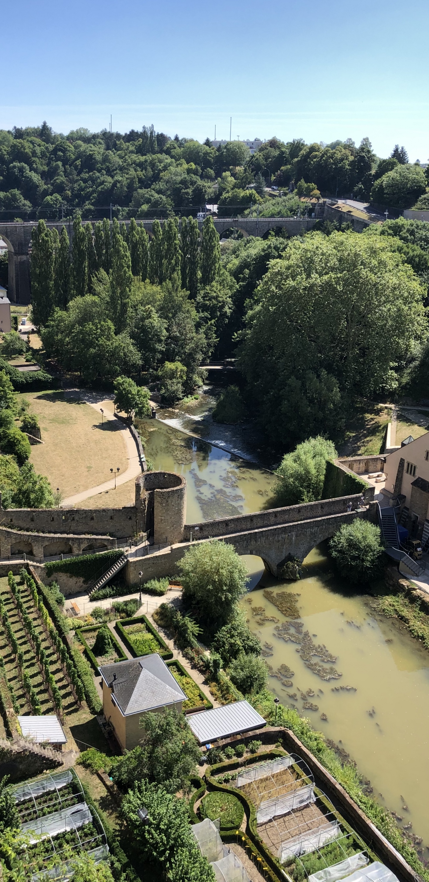 Grund, Birds Eye View, Biologie, Wissenschaft, Vegetation. Wallpaper in 1440x2960 Resolution