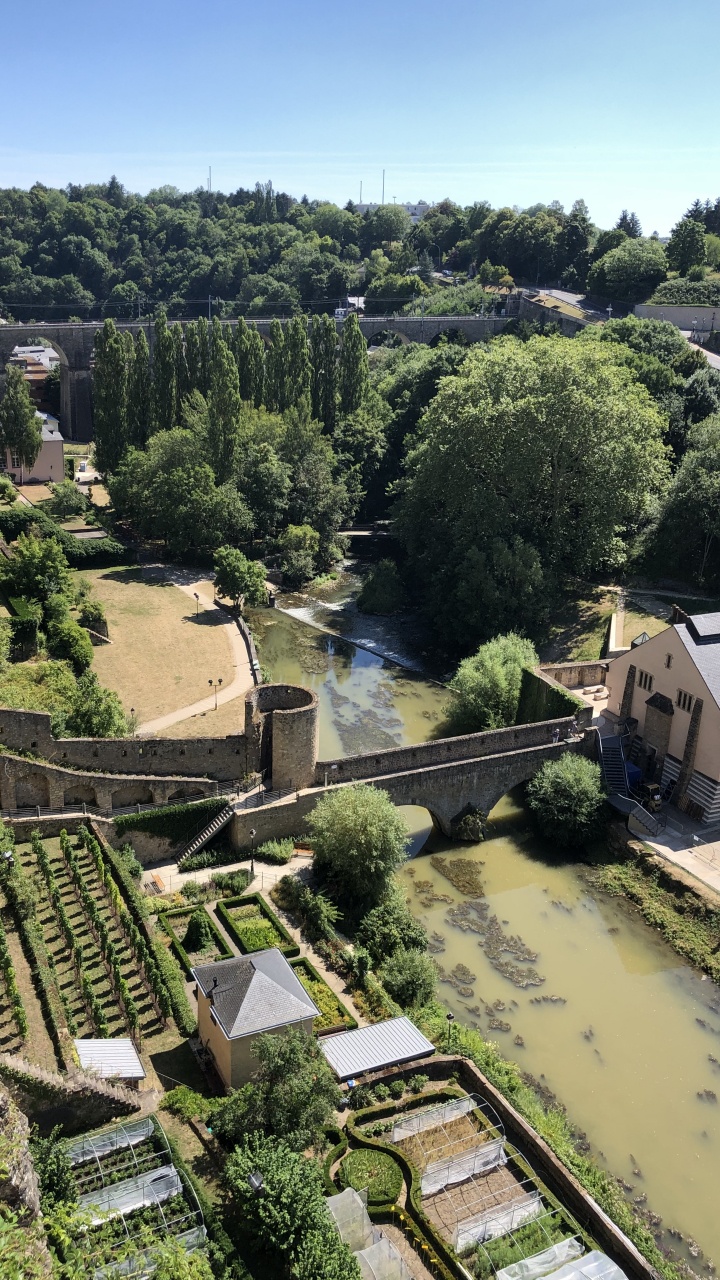 Grund, Birds Eye View, Biology, Science, Vegetation. Wallpaper in 720x1280 Resolution