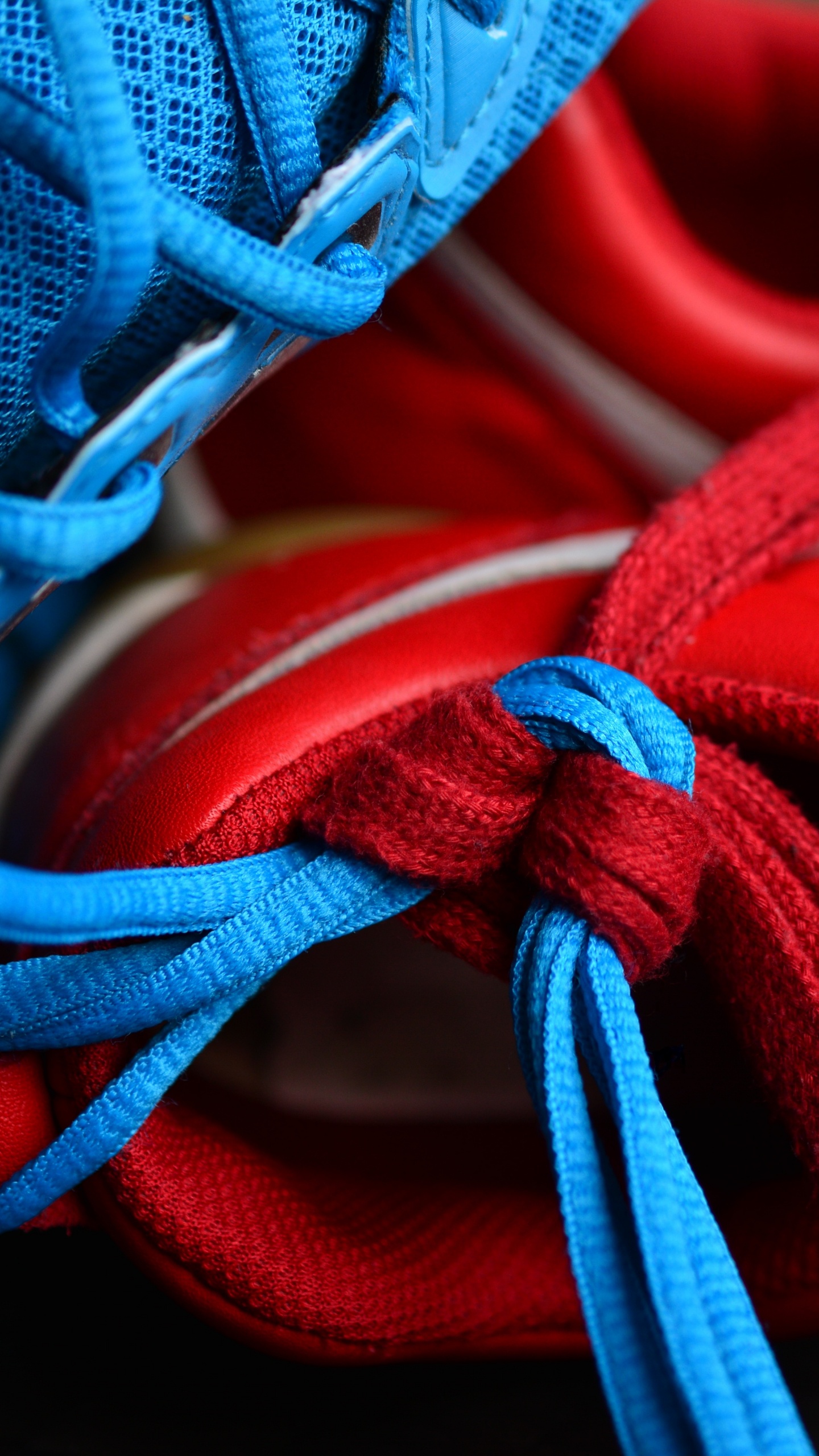 Red and Blue Lace up Shoes. Wallpaper in 1440x2560 Resolution
