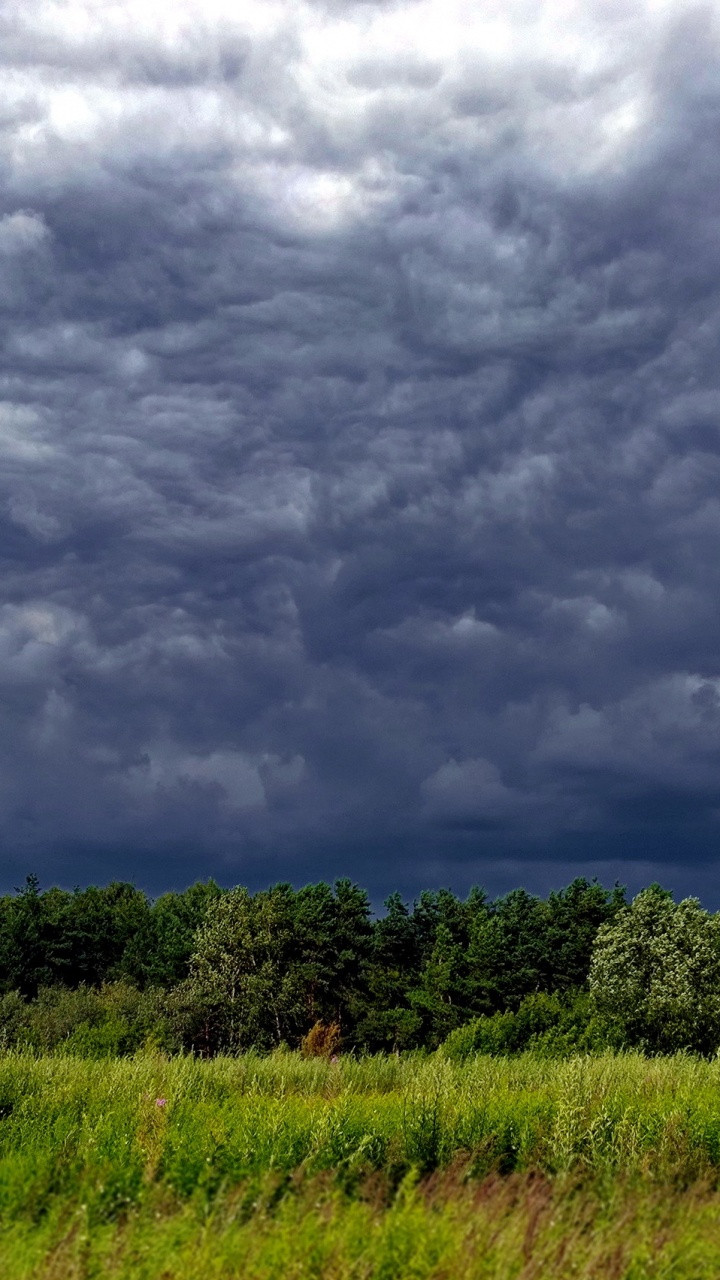 Campo de Hierba Verde Bajo Nubes Grises. Wallpaper in 720x1280 Resolution