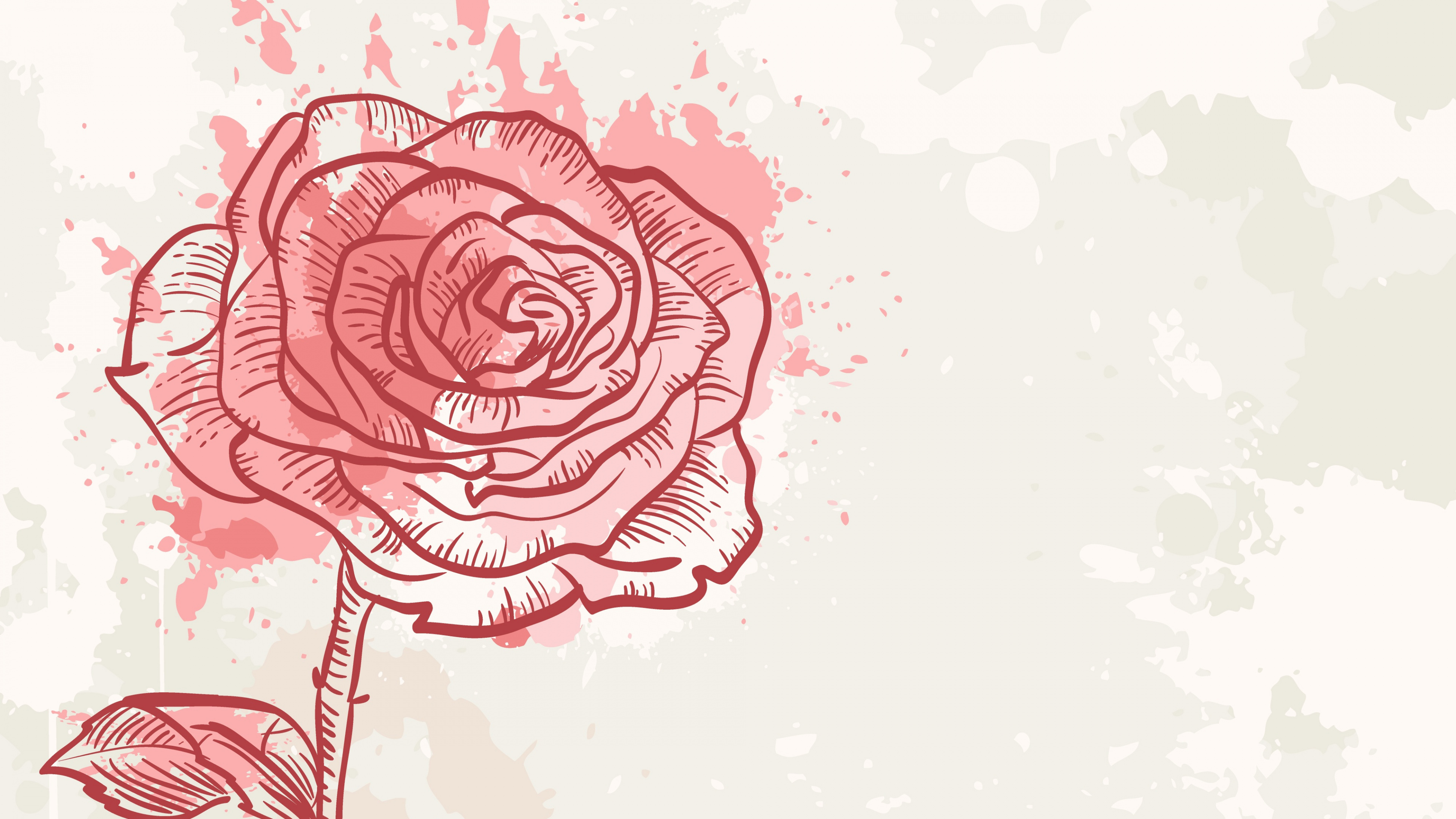 Rosa Und Weiße Rose Blumenskizze. Wallpaper in 3840x2160 Resolution