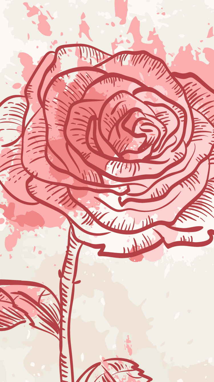 Rosa Und Weiße Rose Blumenskizze. Wallpaper in 750x1334 Resolution