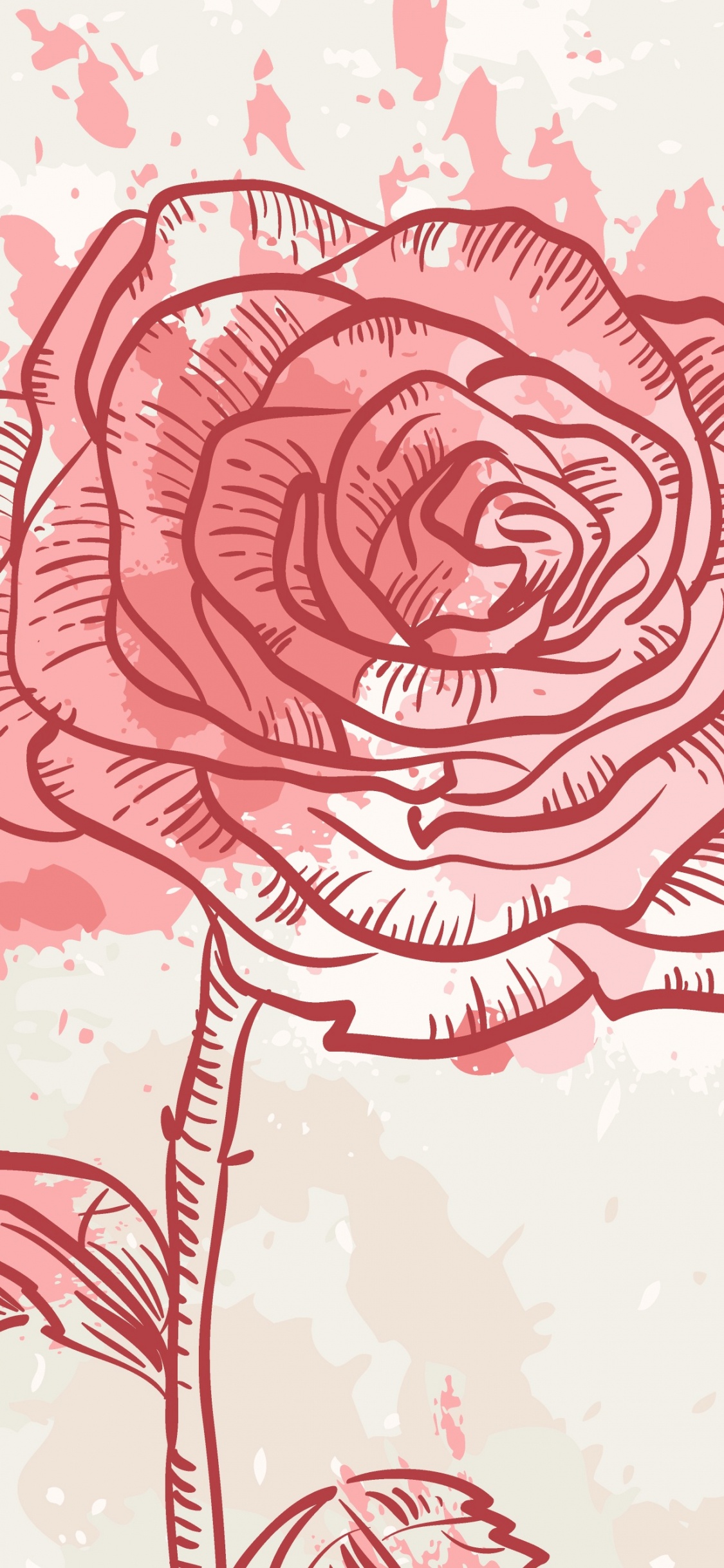 Croquis de Fleur Rose Rose et Blanche. Wallpaper in 1125x2436 Resolution