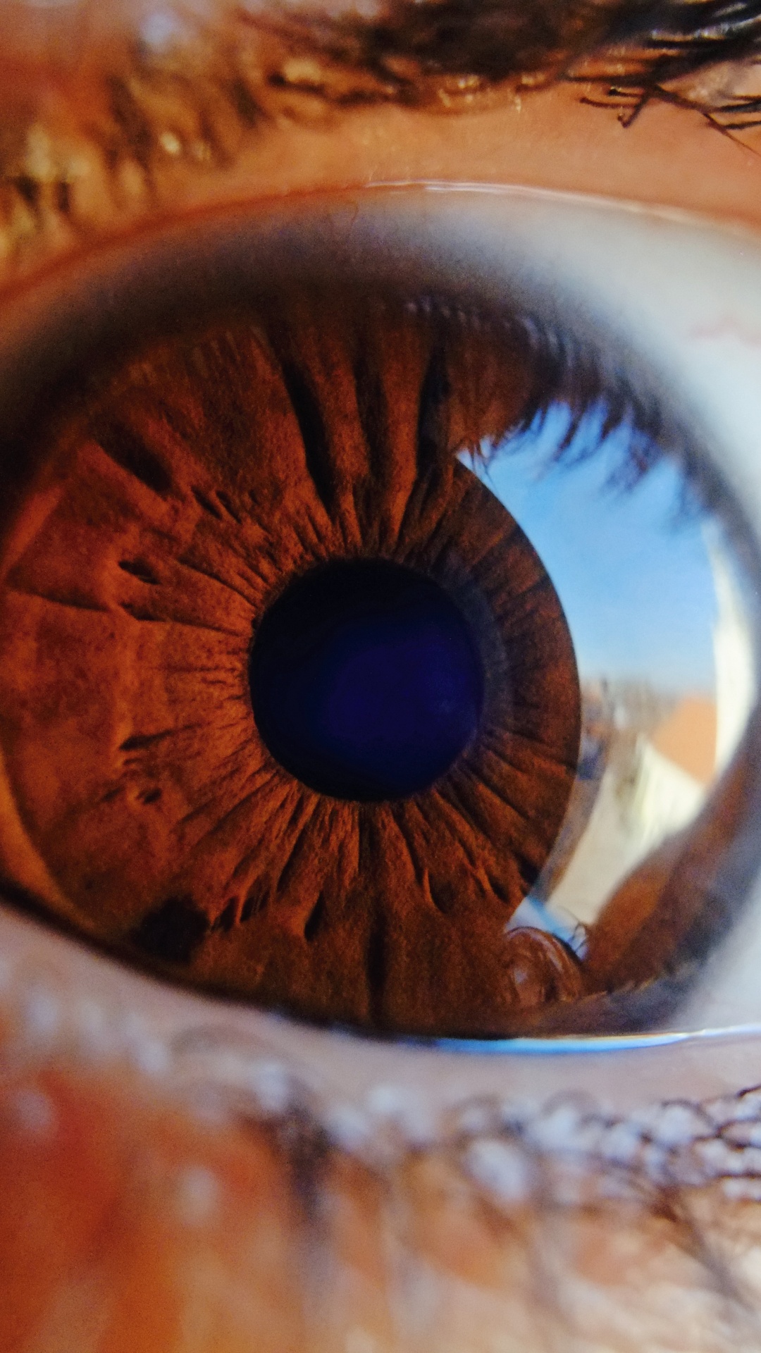Cerrar Foto Del Ojo Humano. Wallpaper in 1080x1920 Resolution