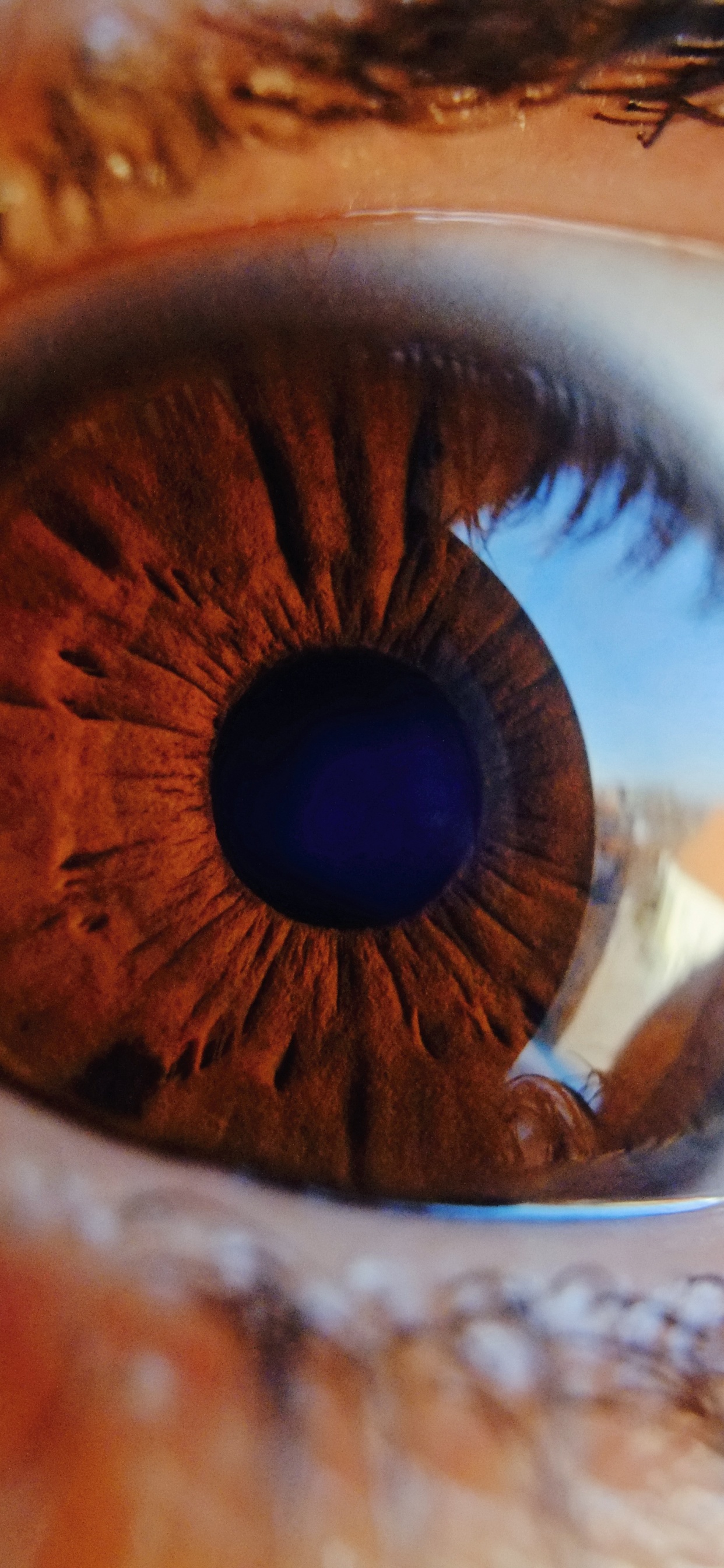 Cerrar Foto Del Ojo Humano. Wallpaper in 1242x2688 Resolution