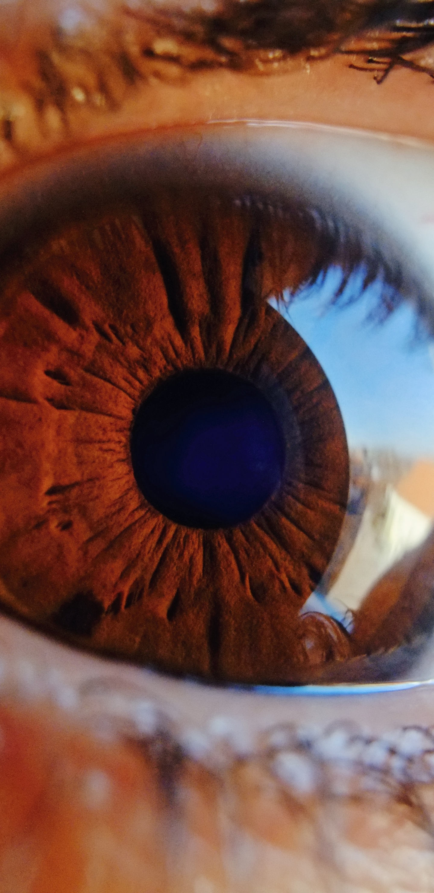 Cerrar Foto Del Ojo Humano. Wallpaper in 1440x2960 Resolution