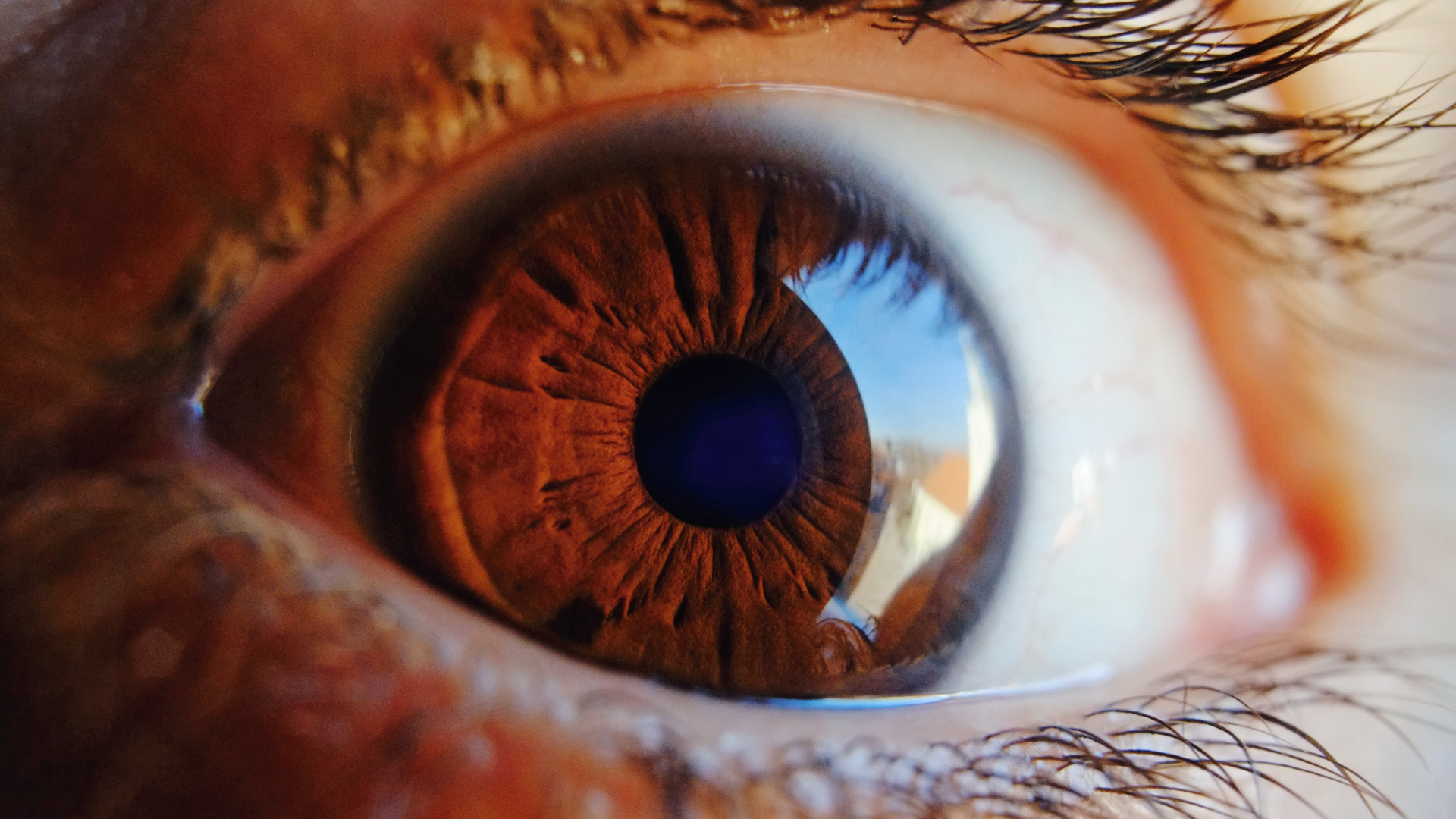 Cerrar Foto Del Ojo Humano. Wallpaper in 1920x1080 Resolution