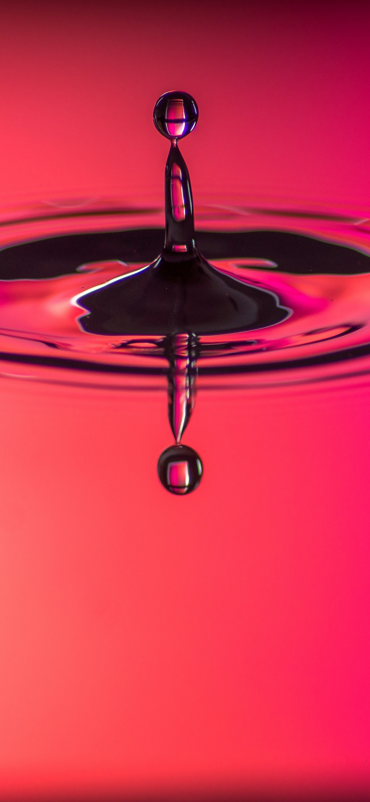 Agua, Rojo, Rosa, Reflexión, Líquido. Wallpaper in 1242x2688 Resolution