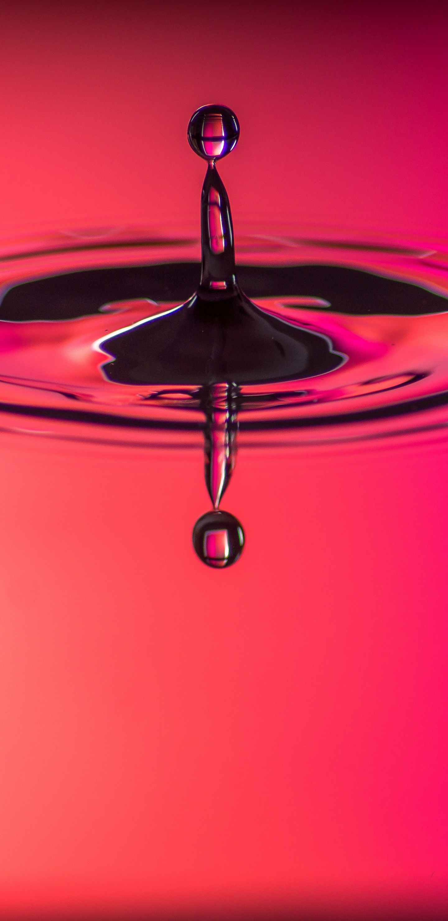 放下, 红色的, 液体, 粉红色, 反射 壁纸 1440x2960 允许