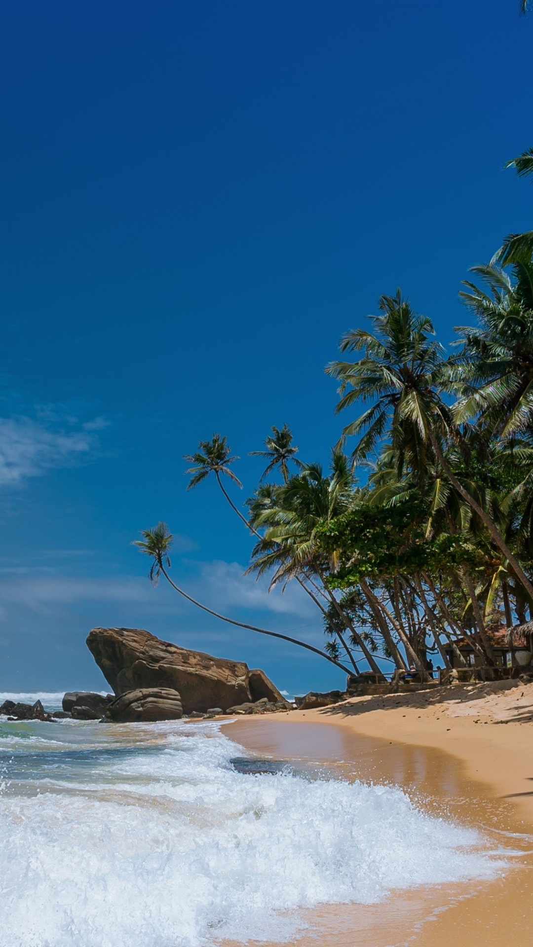 Brown Sand Beach With Palm Trees Under Blue Sky During Daytime. Wallpaper in 1080x1920 Resolution