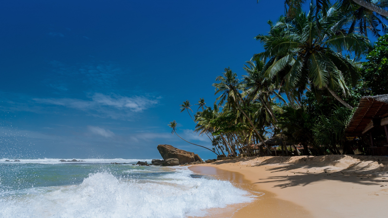 Brown Sand Beach With Palm Trees Under Blue Sky During Daytime. Wallpaper in 1280x720 Resolution