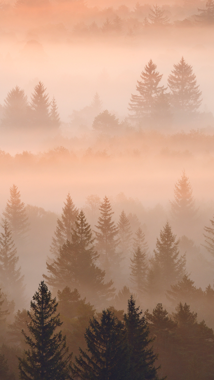 Nokia C31 4 GB 64 GB 6 7 Dual-Sim, Nokia, Nokia 5300, Smartphone, Nebel. Wallpaper in 750x1334 Resolution