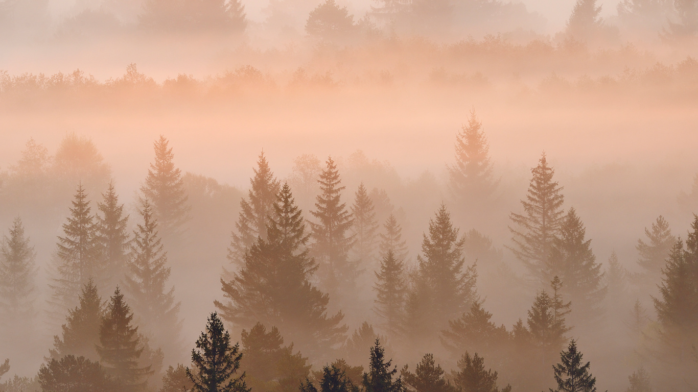 Nokia C31 4 Go 64 Go 6 7 Double SIM, Nokia, Nokia 5300, Smartphone, Brouillard. Wallpaper in 1366x768 Resolution