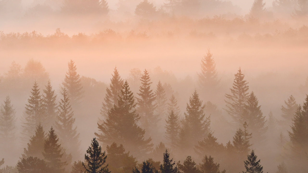 Nokia C31 4gb 64gb 6 7 Dual Sim, Nokia, Nokia 5300, Smartphone, Fog. Wallpaper in 1280x720 Resolution