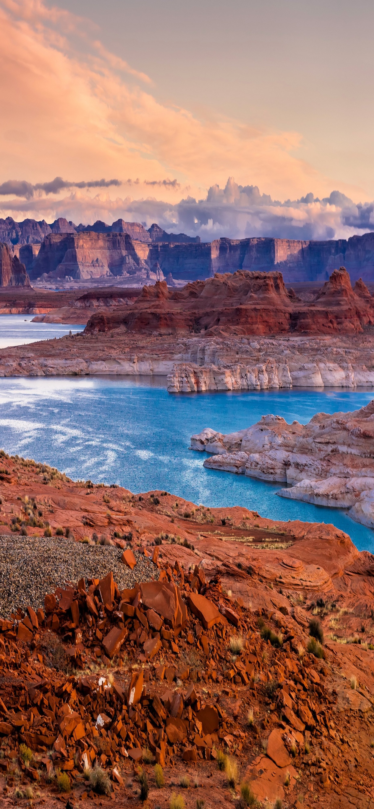 Terre Brune et Verte Près D'un Plan D'eau Pendant la Journée. Wallpaper in 1242x2688 Resolution