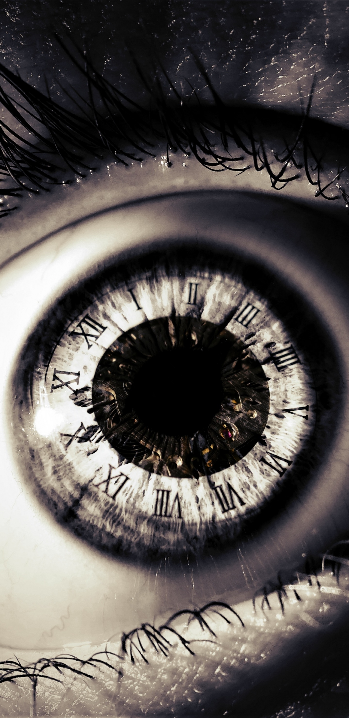 Oeil de Personnes Dans la Photographie en Gros Plan. Wallpaper in 1440x2960 Resolution