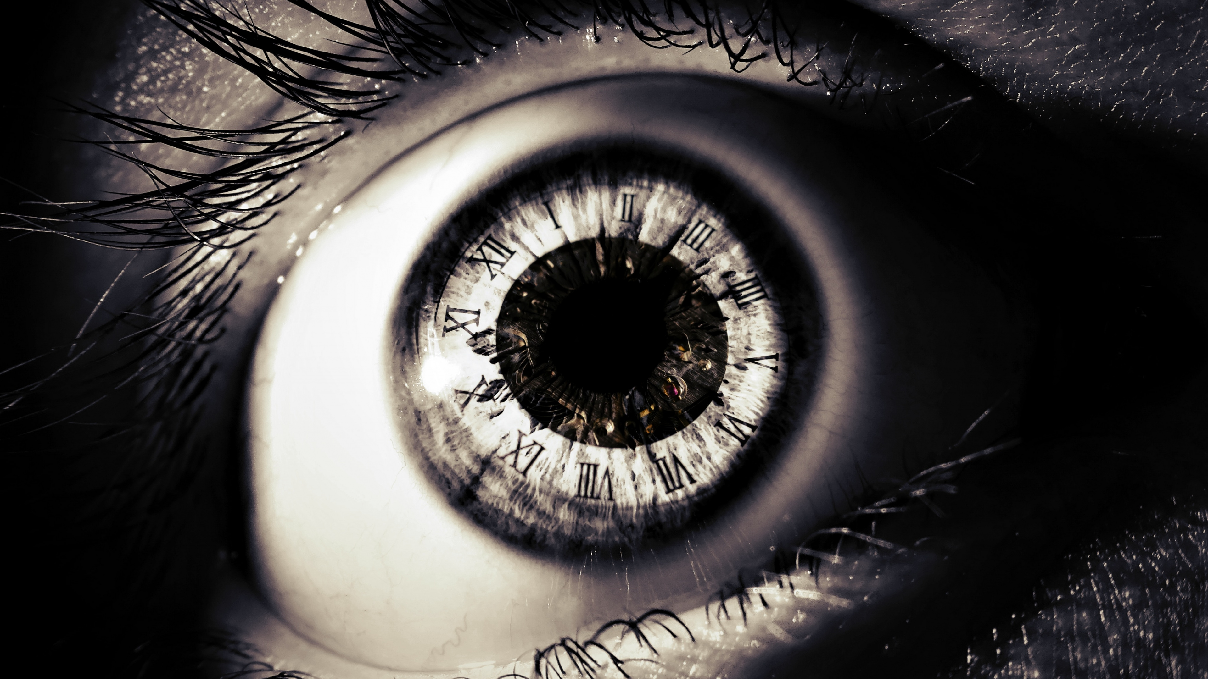 Oeil de Personnes Dans la Photographie en Gros Plan. Wallpaper in 3840x2160 Resolution