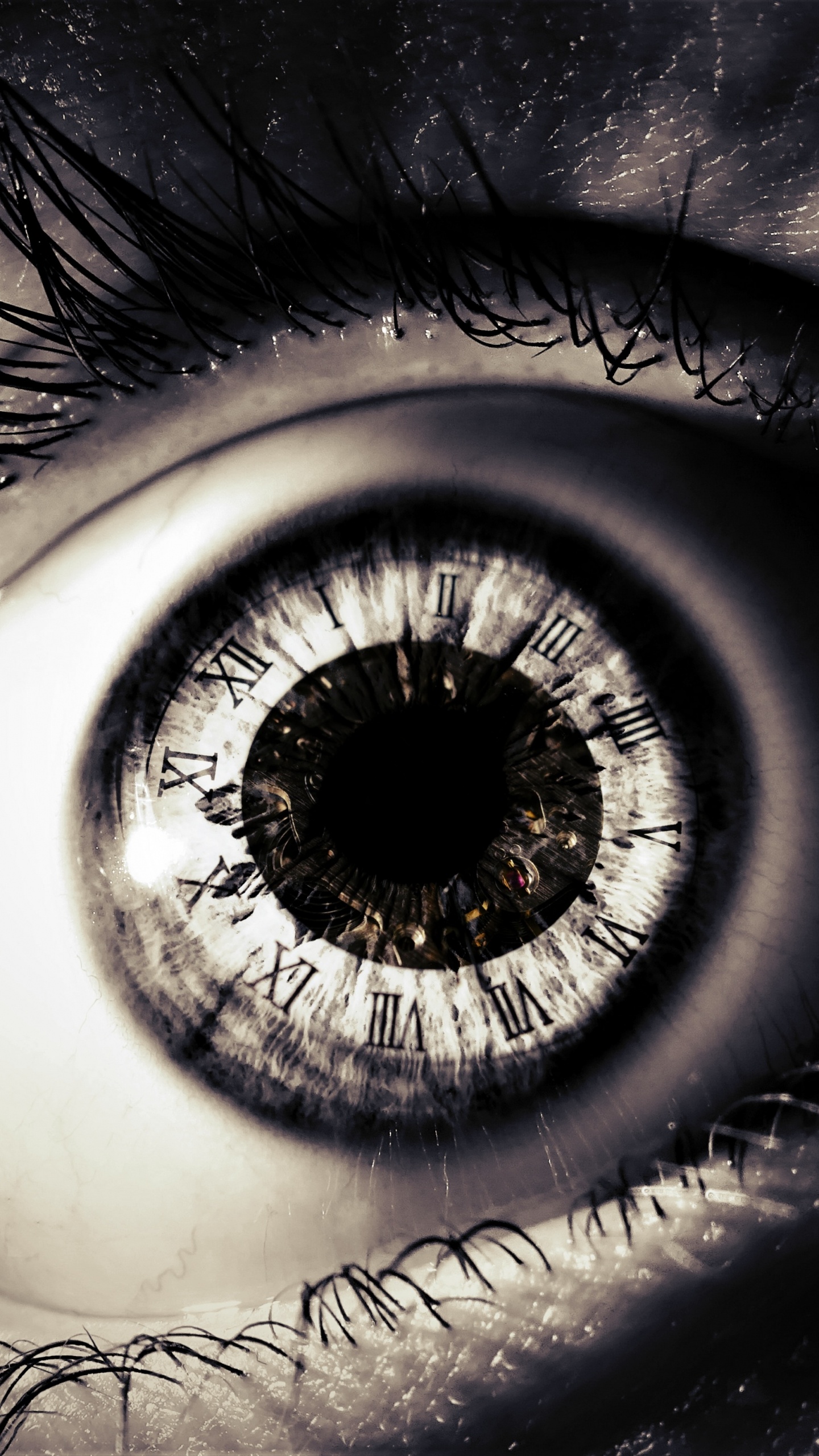 Persons Eye in Close up Photography. Wallpaper in 1440x2560 Resolution