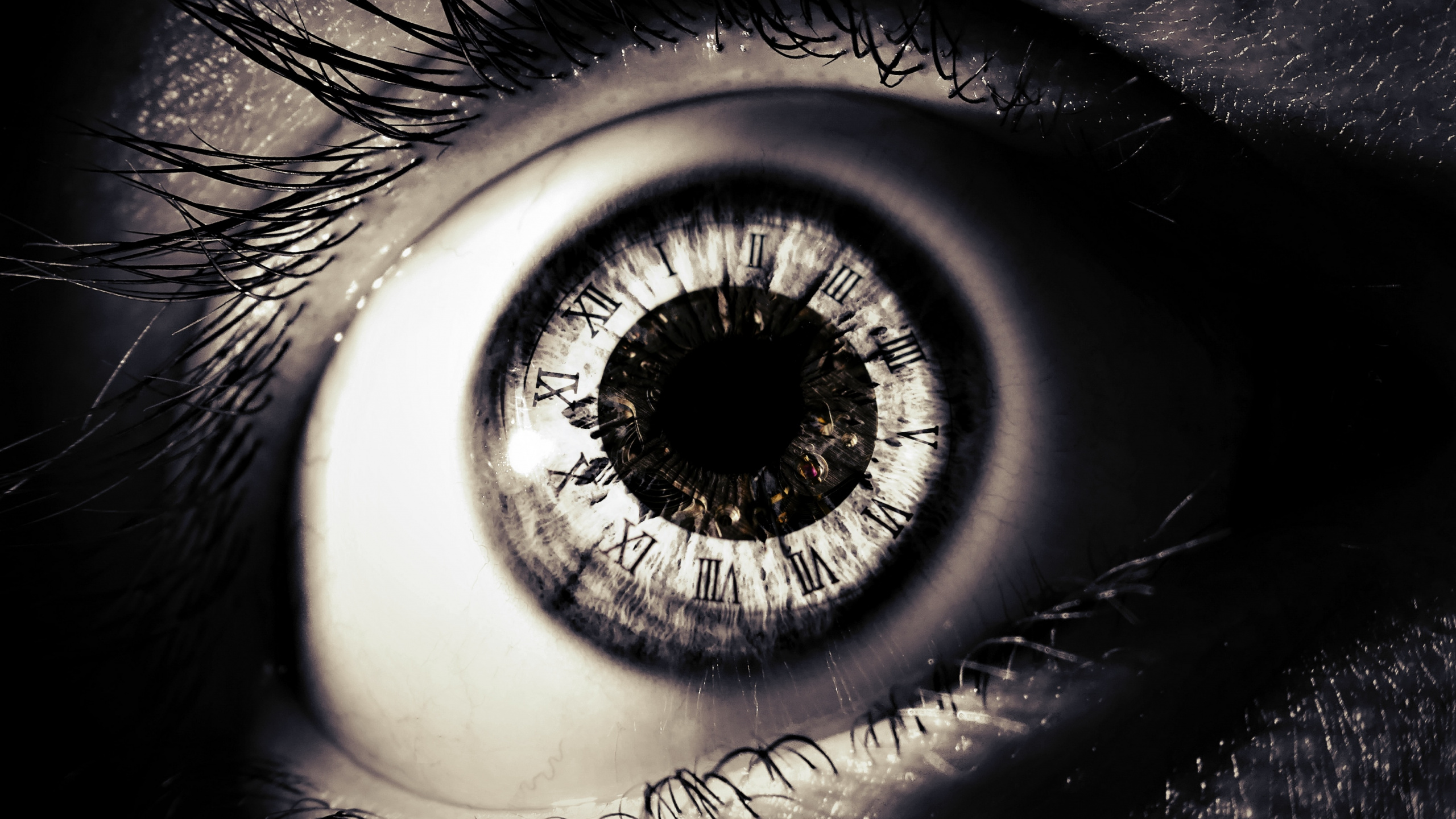 Persons Eye in Close up Photography. Wallpaper in 2560x1440 Resolution