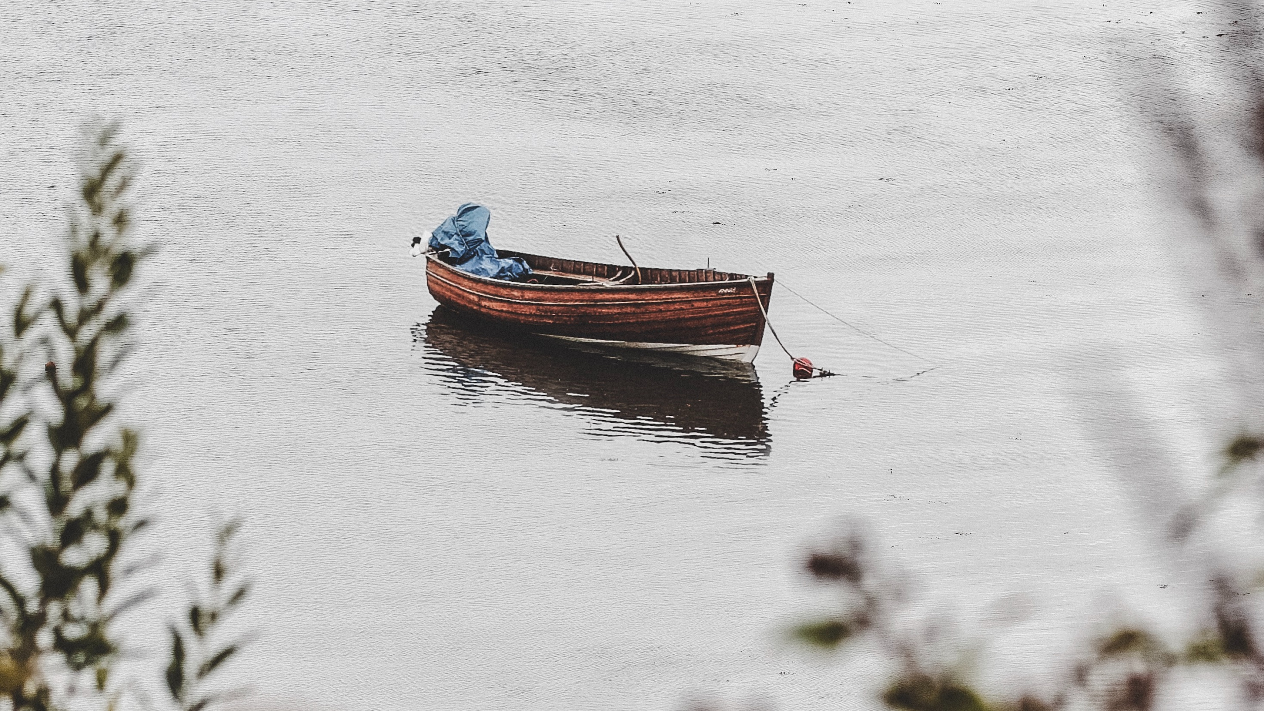 Brown Boat on Body of Water During Daytime. Wallpaper in 2560x1440 Resolution