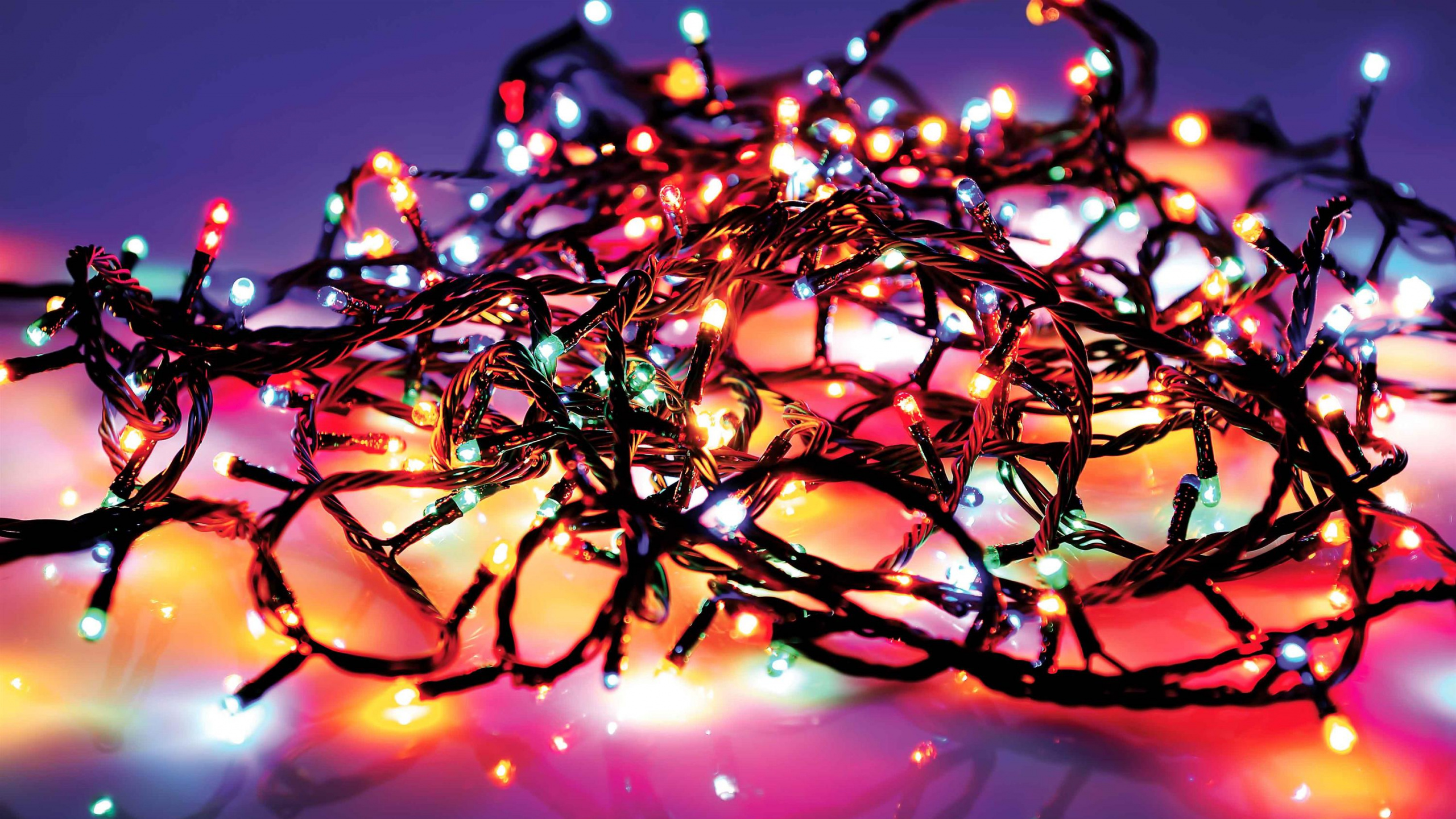 Guirnalda, Sucursal, Luces de Navidad, Luz, Decoración de la Navidad. Wallpaper in 2560x1440 Resolution