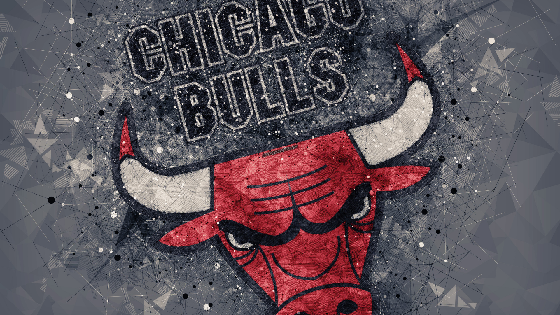 Chicago Bulls, NBA, Chicago, L'art de la Rue, Art. Wallpaper in 1920x1080 Resolution