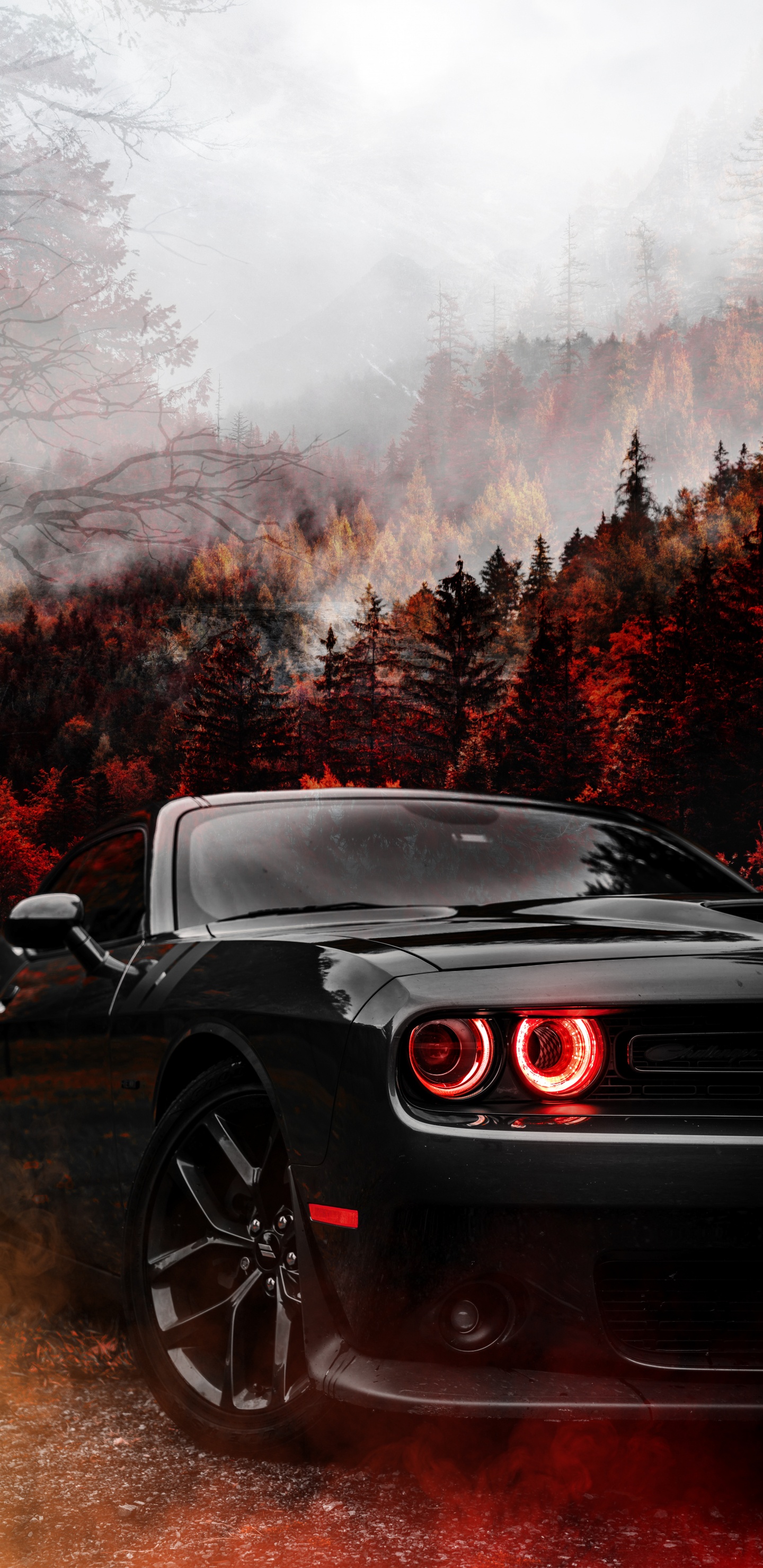 Dodge Challenger, Dodge, Esquivar Demonio, Dodge Challenger Fuselaje Ancho Ojos Rojos, Coche. Wallpaper in 1440x2960 Resolution