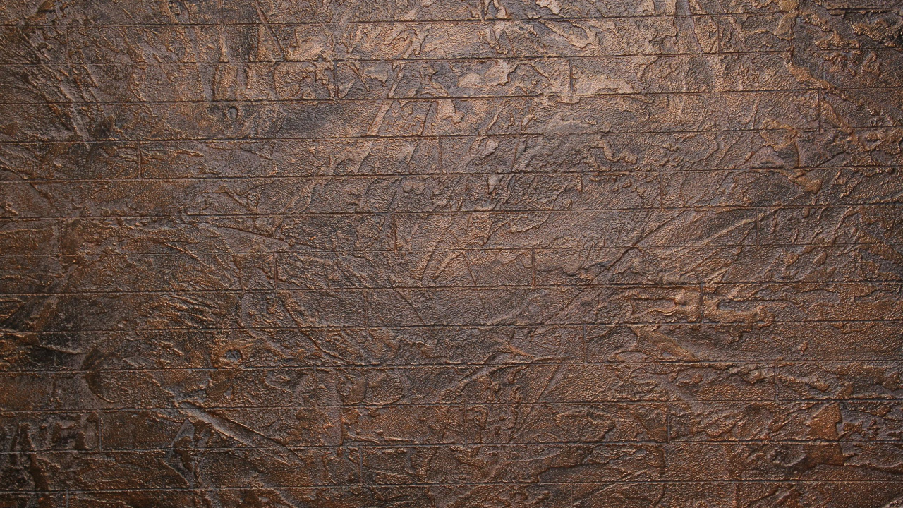 Braune Getrocknete Blätter Auf Dem Boden. Wallpaper in 1280x720 Resolution