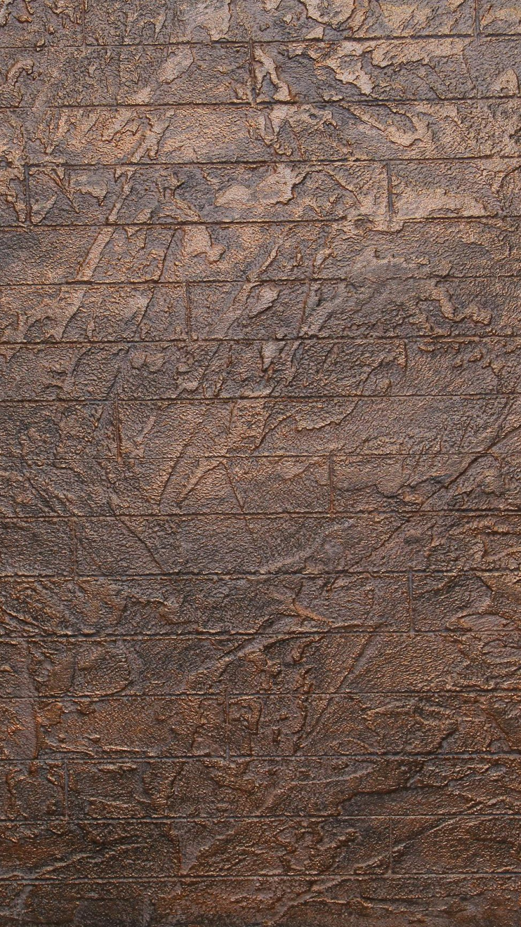 Feuilles Séchées Brunes au Sol. Wallpaper in 750x1334 Resolution