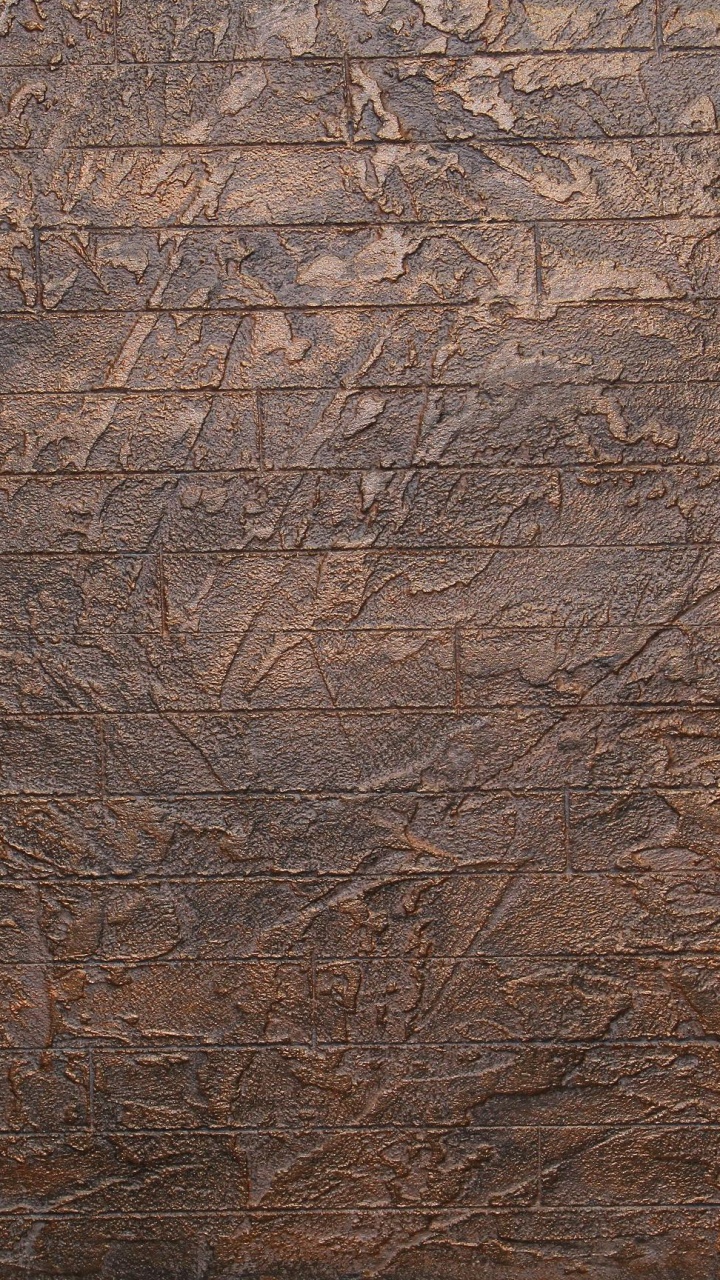 Brown Dried Leaves on Ground. Wallpaper in 720x1280 Resolution