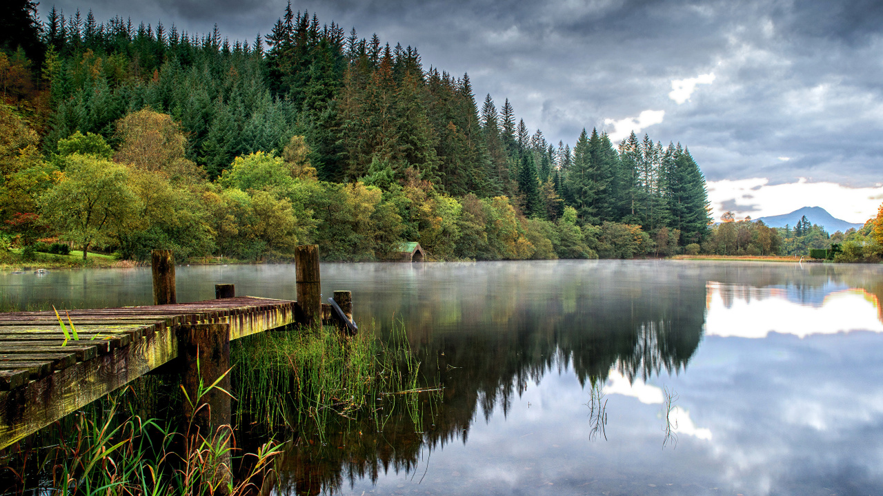 Green Trees Beside Body of Water Under Cloudy Sky During Daytime. Wallpaper in 1280x720 Resolution