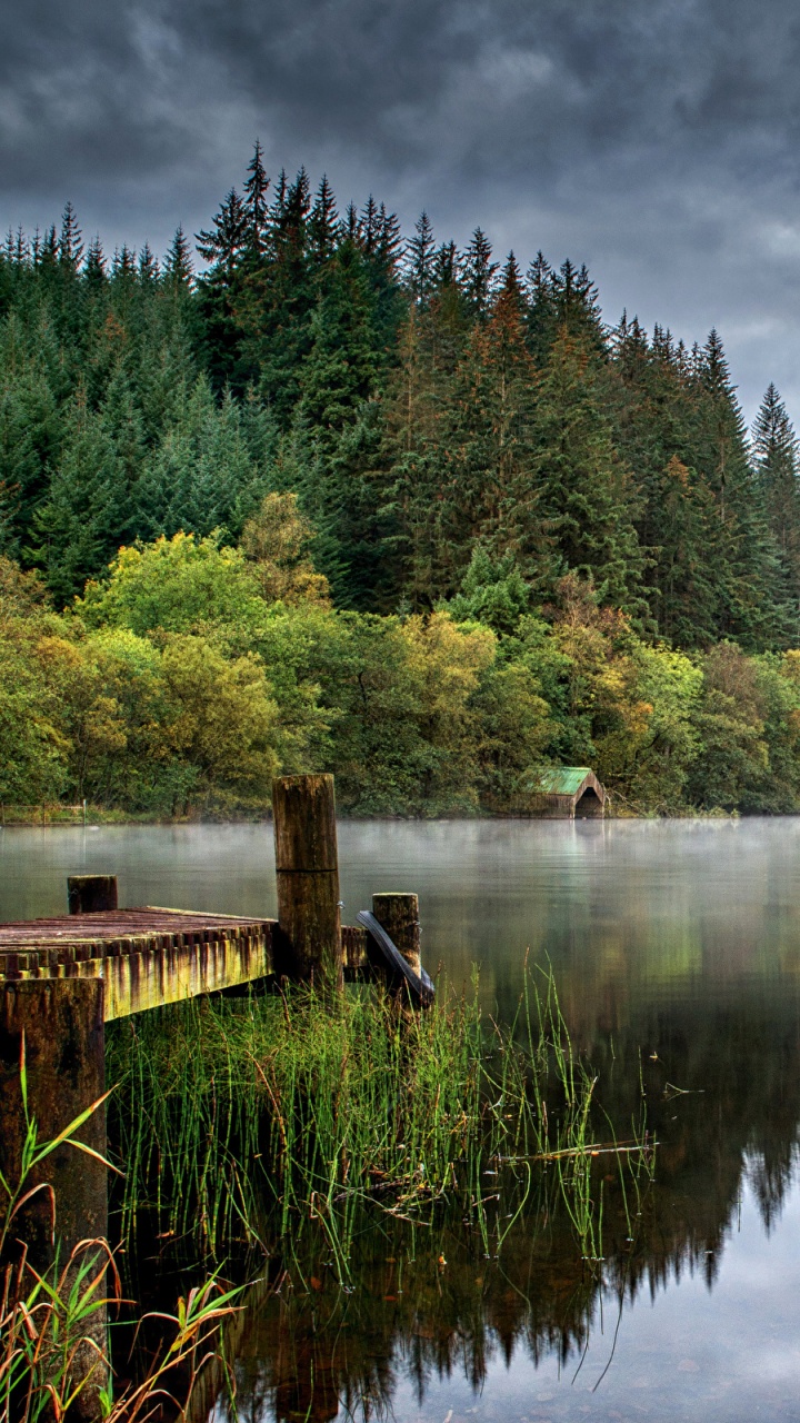Green Trees Beside Body of Water Under Cloudy Sky During Daytime. Wallpaper in 720x1280 Resolution