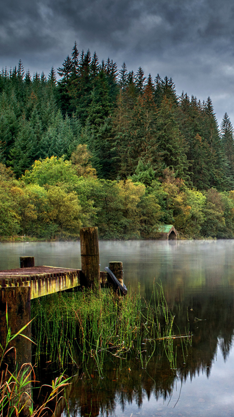 Green Trees Beside Body of Water Under Cloudy Sky During Daytime. Wallpaper in 750x1334 Resolution