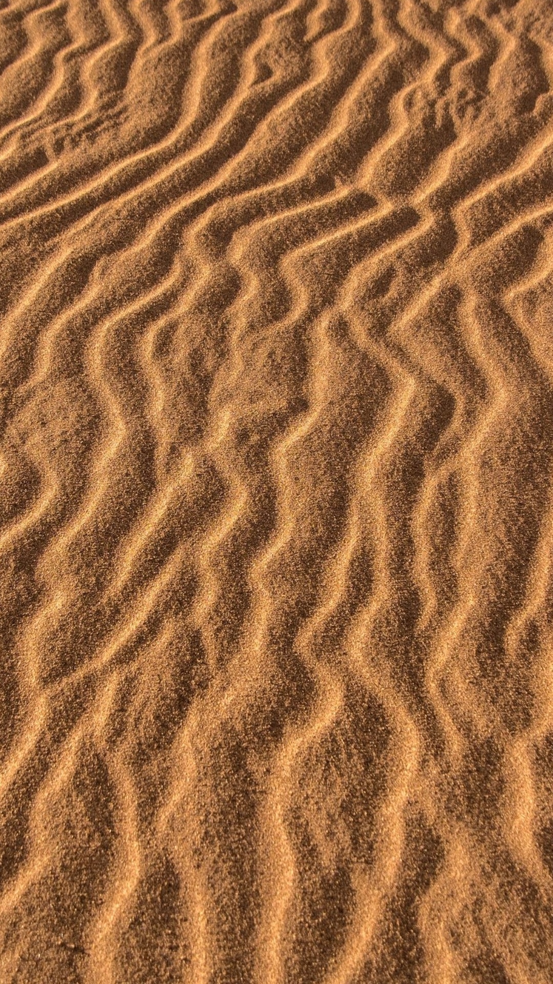 Sand, Brown, Ökoregion, Natürlichen Umgebung, Naturlandschaft. Wallpaper in 1080x1920 Resolution