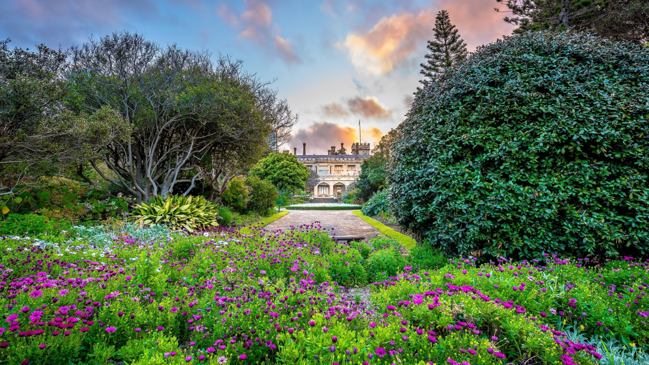Purple Flower Garden Near Brown Building During Daytime. Wallpaper in 1280x720 Resolution