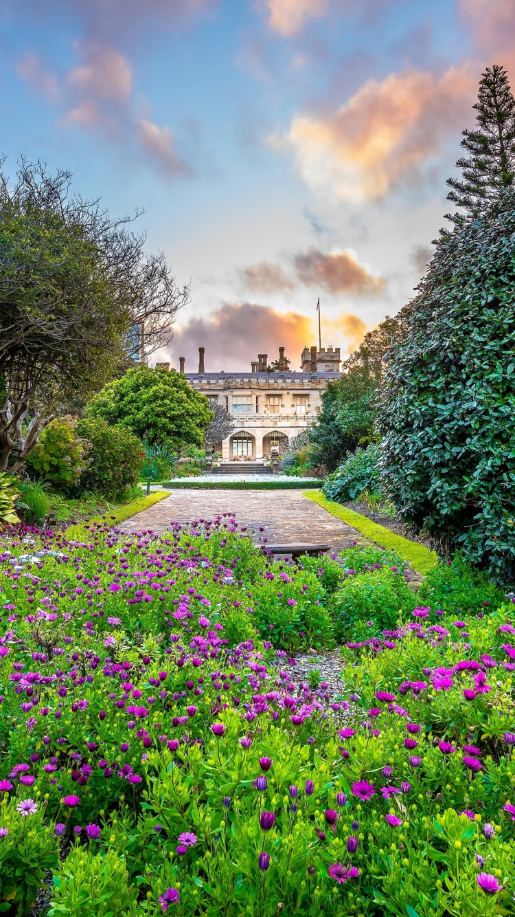 Purple Flower Garden Near Brown Building During Daytime. Wallpaper in 750x1334 Resolution