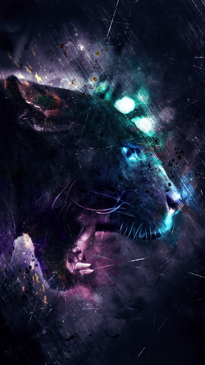 Obscurité, Cougar, Felidae, Carnivores, Objet Astronomique. Wallpaper in 720x1280 Resolution