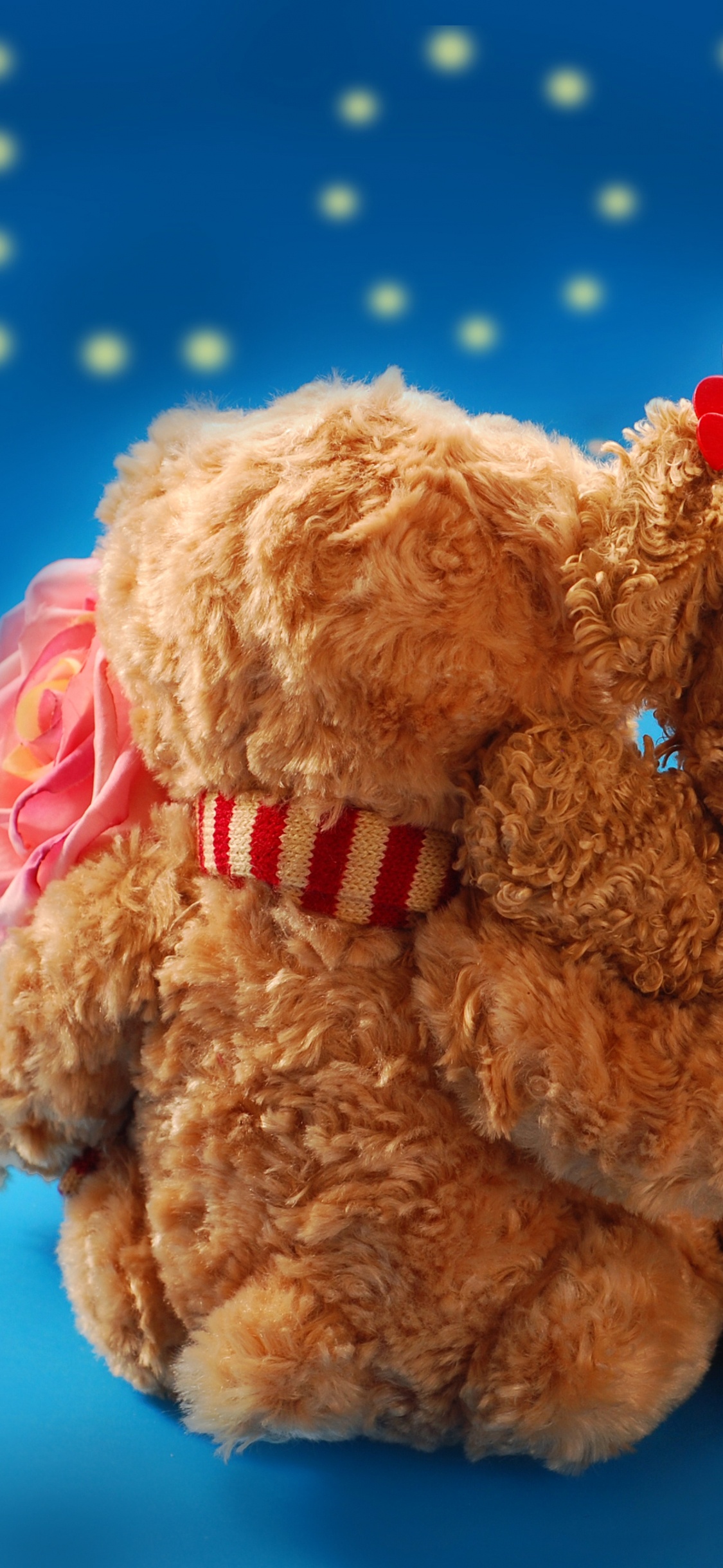 el Día de San Valentín, Osito, Peluche de Juguete, Felpa, Amor. Wallpaper in 1125x2436 Resolution